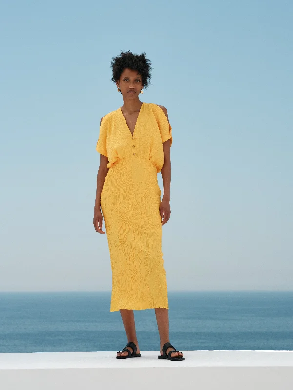 Embroidered dresses for womenAmbrosia Midi Dress With Cut Out Sleeves