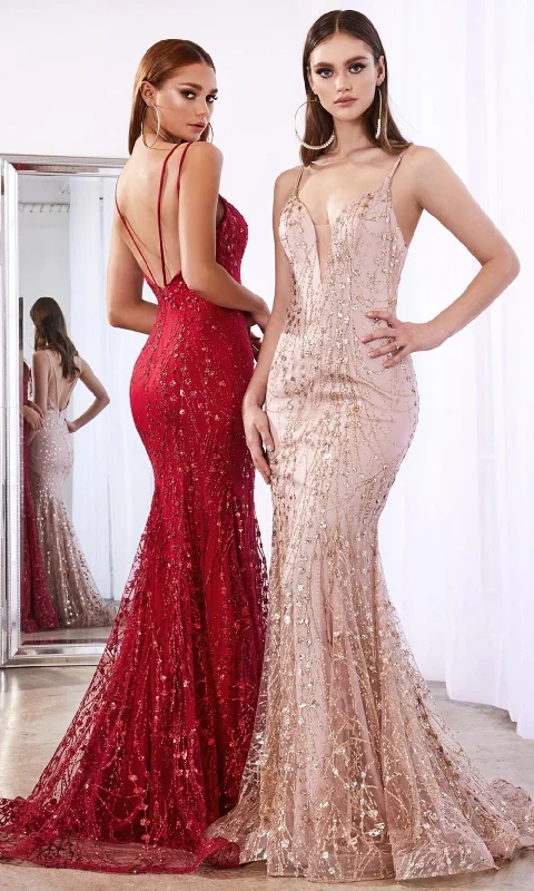 Festival dresses for music and arts eventsCinderella Divine C25